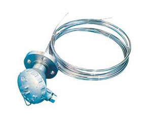 ���c�������ż