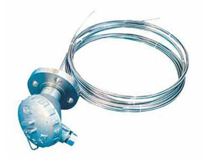 ���c���ż